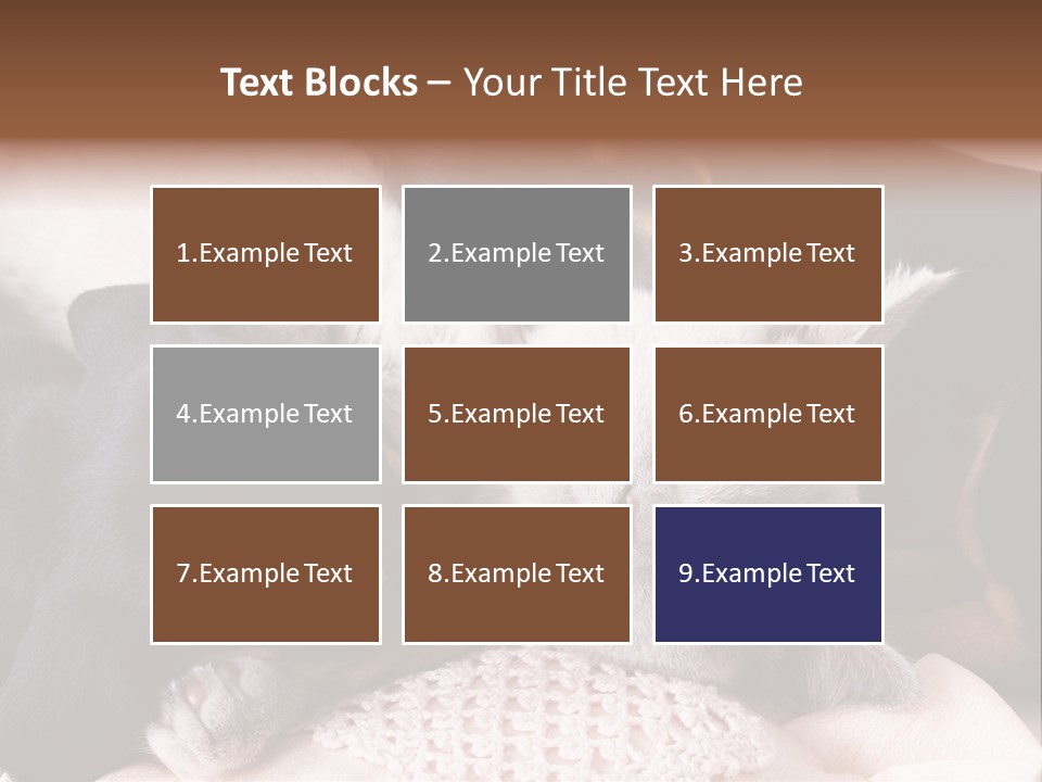 A Cat And A Dog Sleeping Together On A Blanket PowerPoint Template