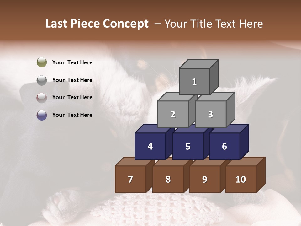 A Cat And A Dog Sleeping Together On A Blanket PowerPoint Template