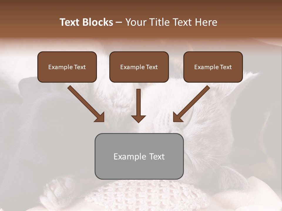 A Cat And A Dog Sleeping Together On A Blanket PowerPoint Template