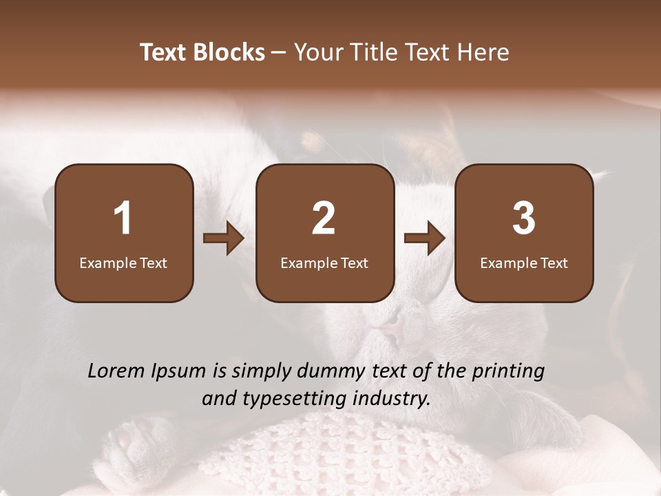 A Cat And A Dog Sleeping Together On A Blanket PowerPoint Template