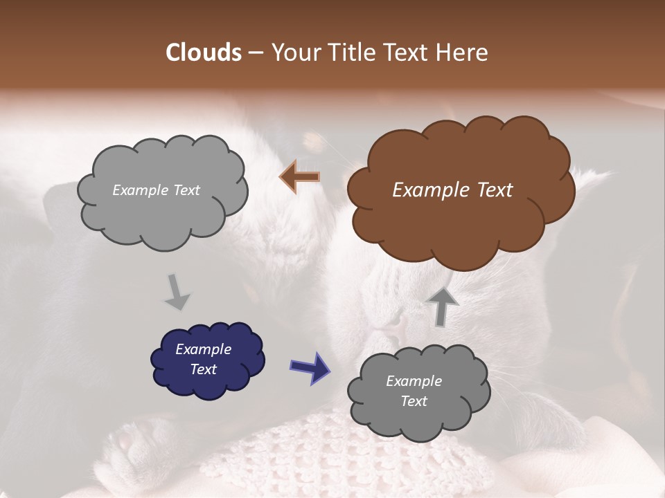 A Cat And A Dog Sleeping Together On A Blanket PowerPoint Template