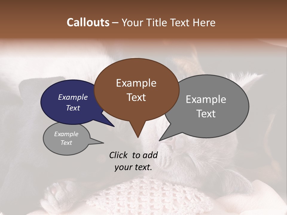 A Cat And A Dog Sleeping Together On A Blanket PowerPoint Template