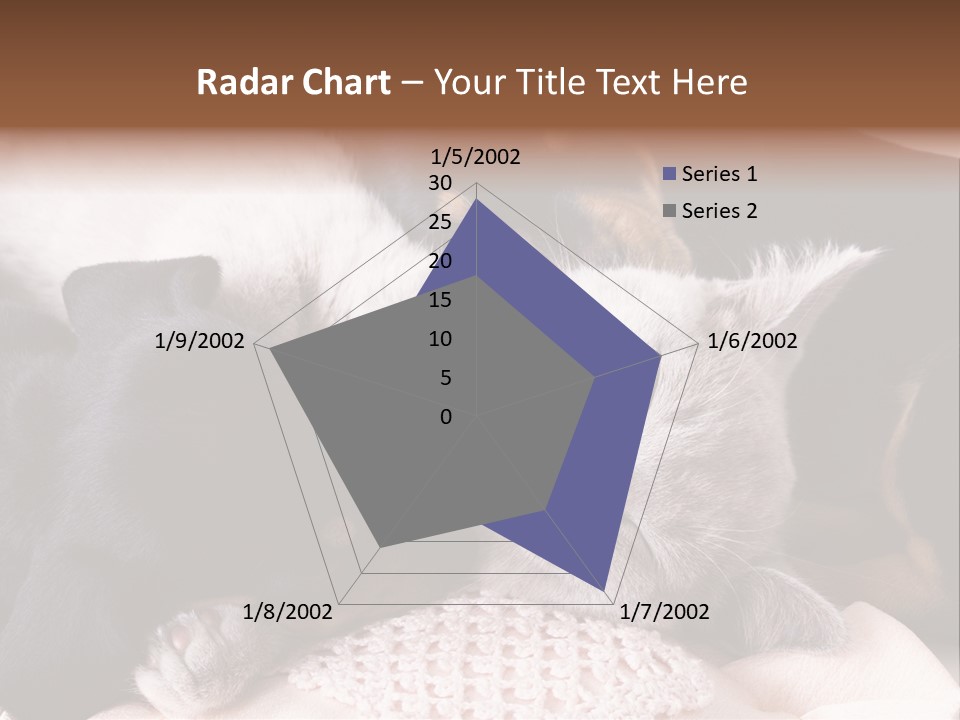 A Cat And A Dog Sleeping Together On A Blanket PowerPoint Template