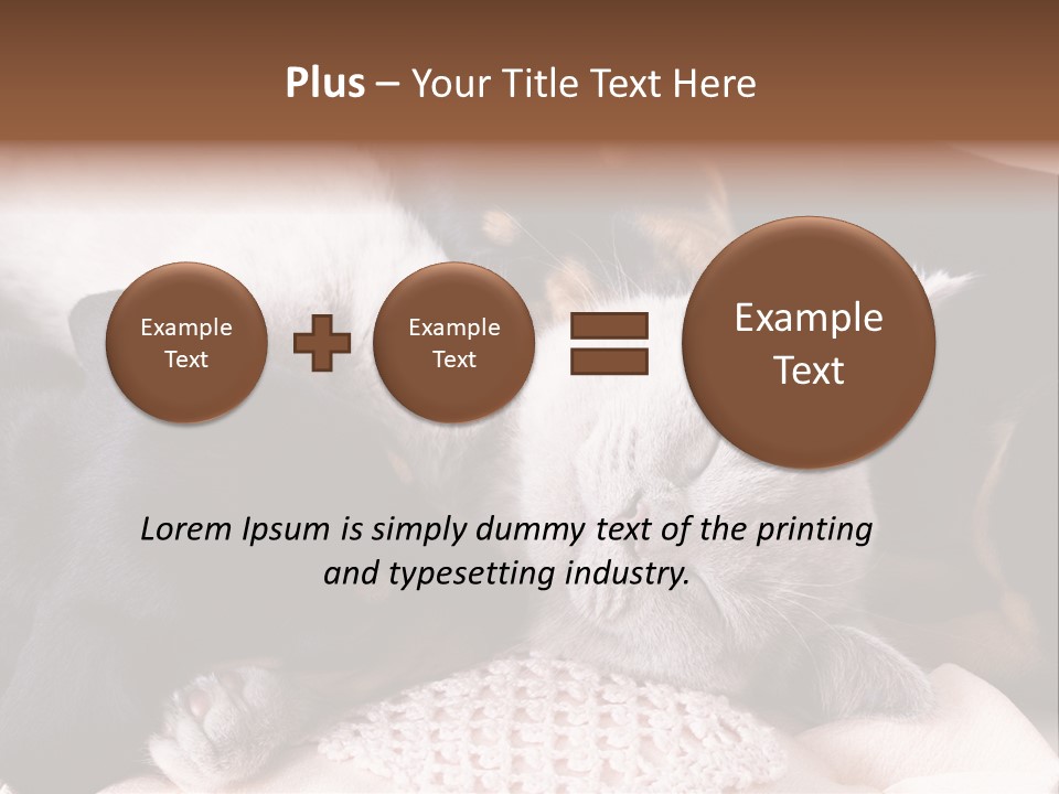 A Cat And A Dog Sleeping Together On A Blanket PowerPoint Template