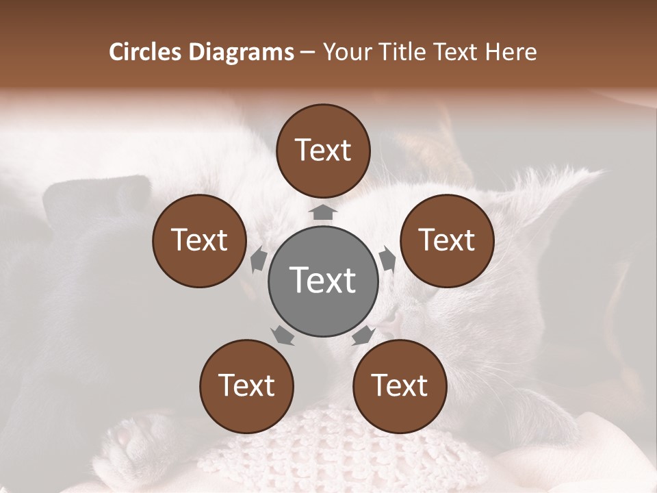 A Cat And A Dog Sleeping Together On A Blanket PowerPoint Template