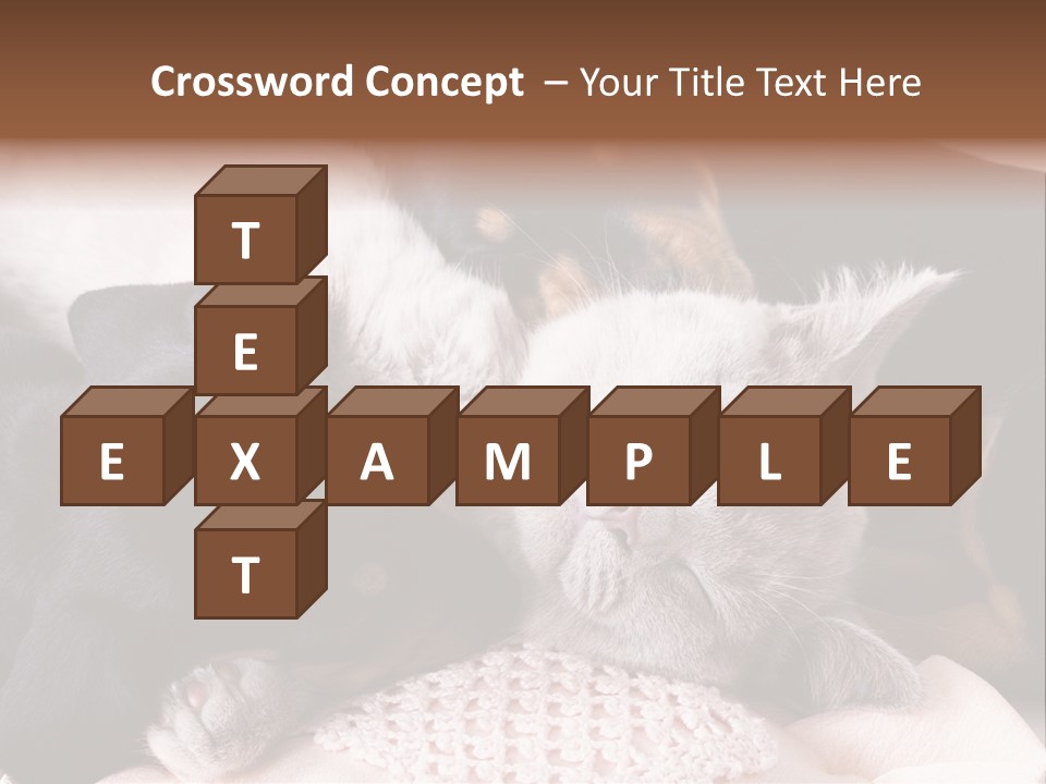 A Cat And A Dog Sleeping Together On A Blanket PowerPoint Template