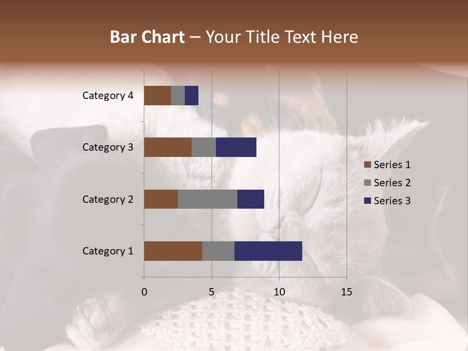 A Cat And A Dog Sleeping Together On A Blanket PowerPoint Template