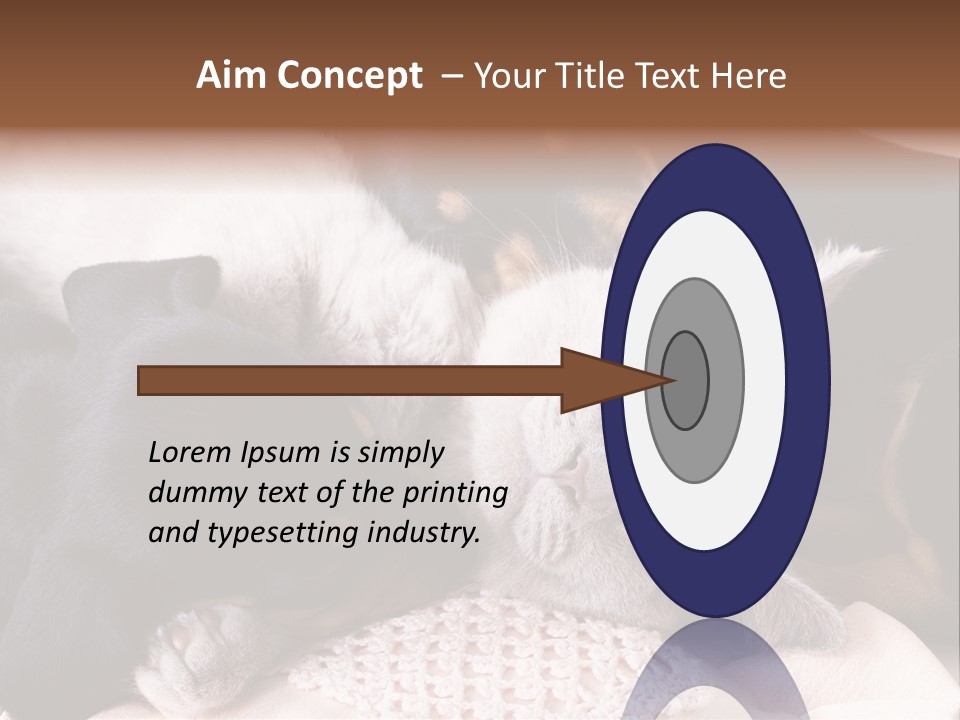 A Cat And A Dog Sleeping Together On A Blanket PowerPoint Template