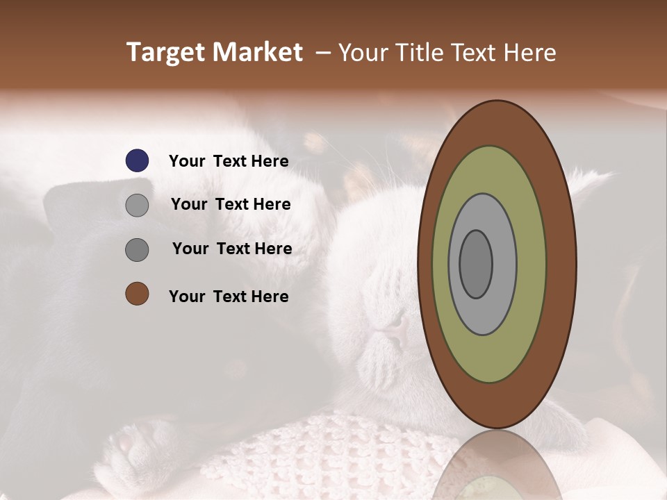 A Cat And A Dog Sleeping Together On A Blanket PowerPoint Template