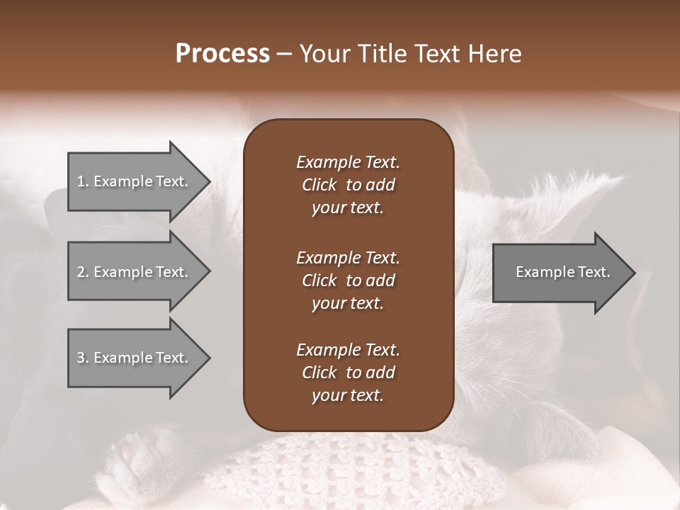 A Cat And A Dog Sleeping Together On A Blanket PowerPoint Template