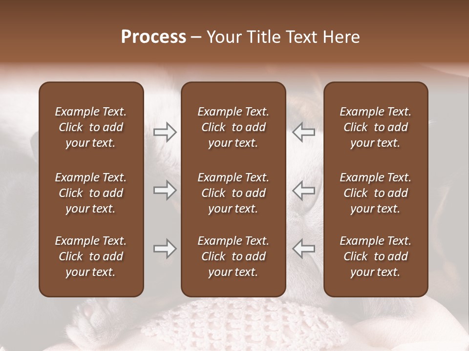 A Cat And A Dog Sleeping Together On A Blanket PowerPoint Template