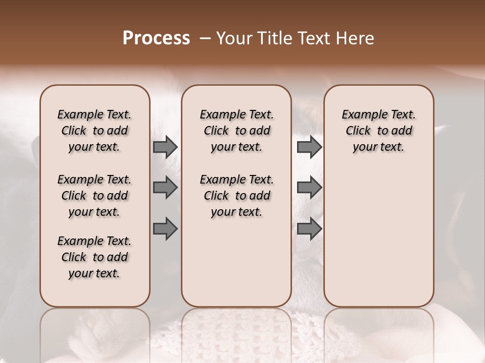 A Cat And A Dog Sleeping Together On A Blanket PowerPoint Template