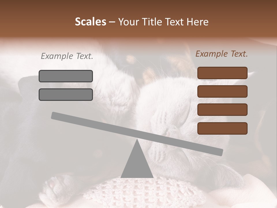 A Cat And A Dog Sleeping Together On A Blanket PowerPoint Template