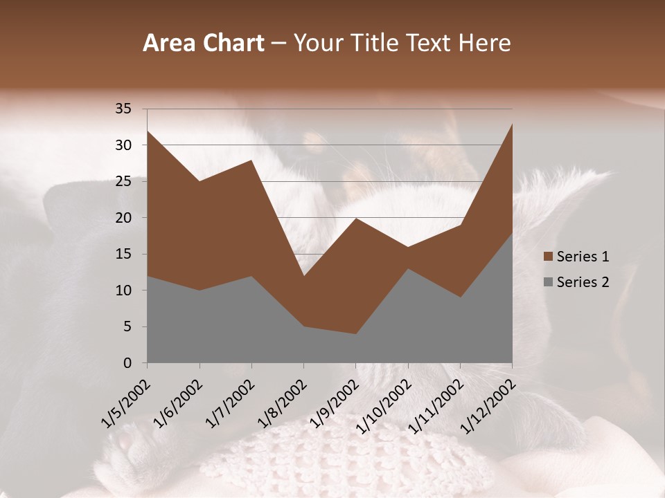 A Cat And A Dog Sleeping Together On A Blanket PowerPoint Template