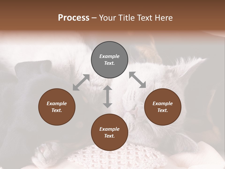 A Cat And A Dog Sleeping Together On A Blanket PowerPoint Template