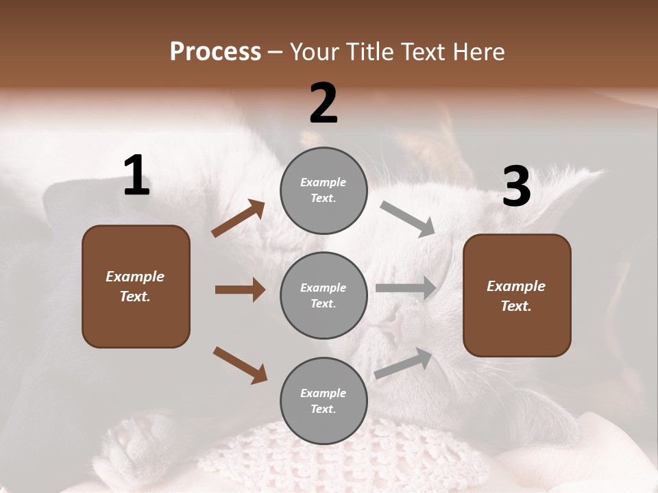 A Cat And A Dog Sleeping Together On A Blanket PowerPoint Template