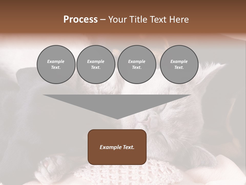 A Cat And A Dog Sleeping Together On A Blanket PowerPoint Template