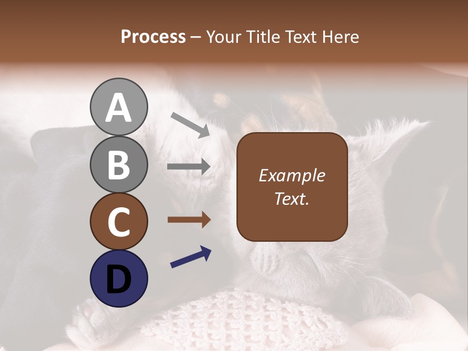 A Cat And A Dog Sleeping Together On A Blanket PowerPoint Template