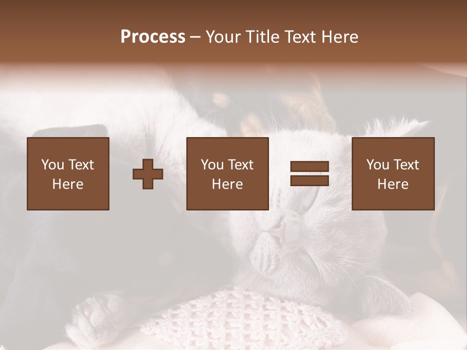 A Cat And A Dog Sleeping Together On A Blanket PowerPoint Template