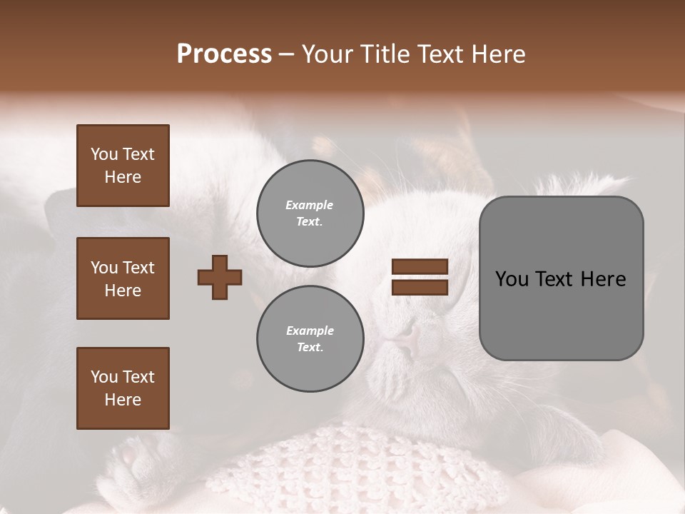 A Cat And A Dog Sleeping Together On A Blanket PowerPoint Template