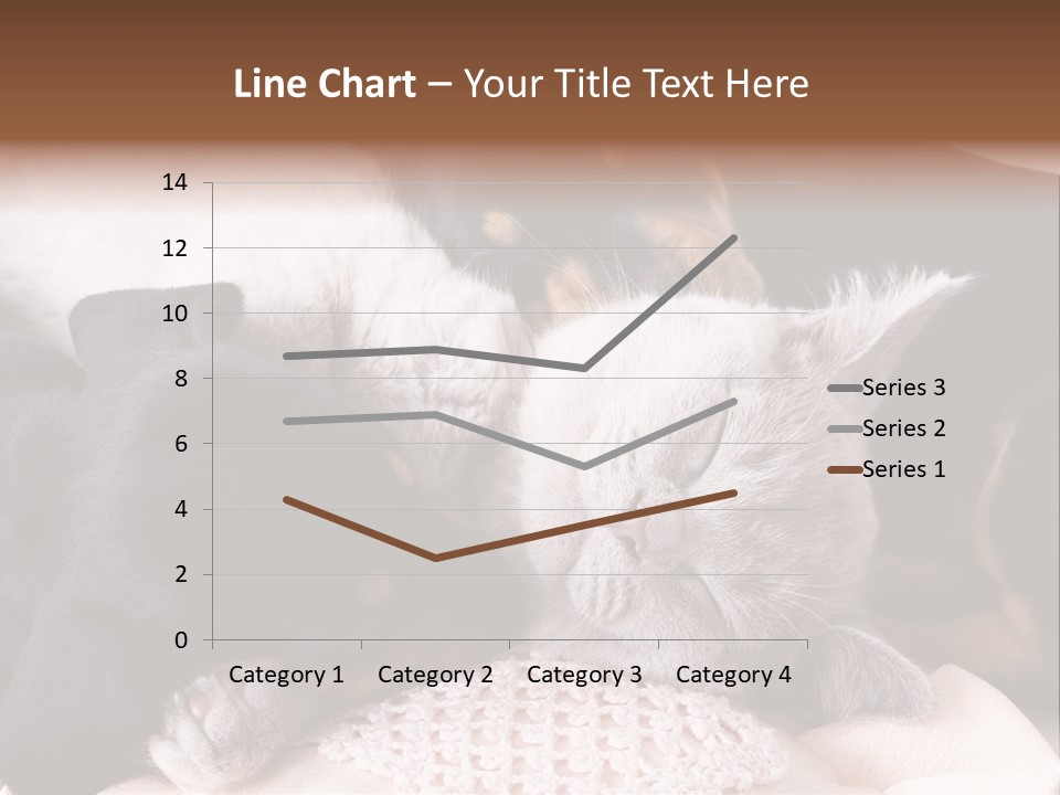 A Cat And A Dog Sleeping Together On A Blanket PowerPoint Template