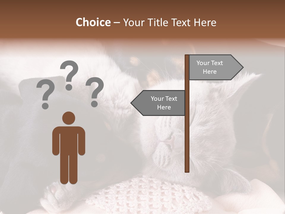 A Cat And A Dog Sleeping Together On A Blanket PowerPoint Template