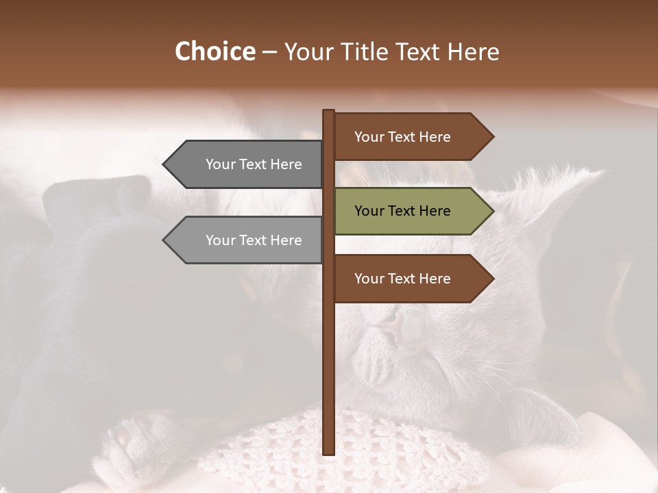 A Cat And A Dog Sleeping Together On A Blanket PowerPoint Template