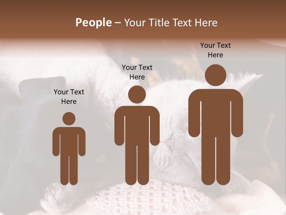 A Cat And A Dog Sleeping Together On A Blanket PowerPoint Template