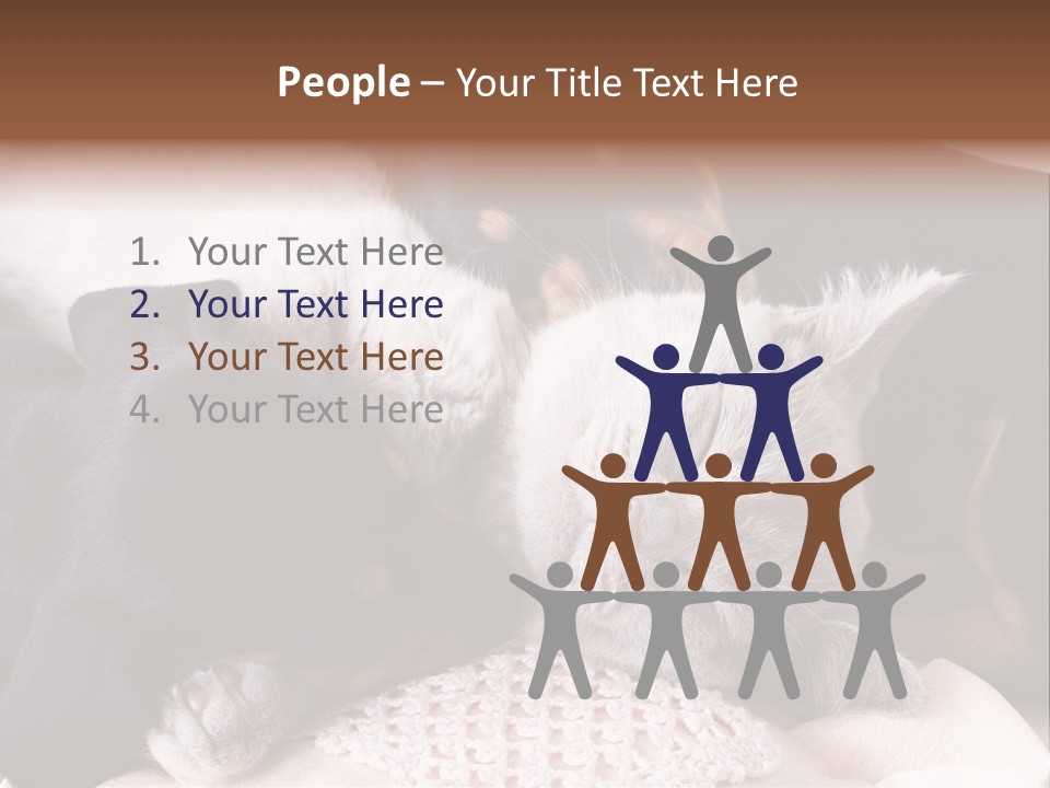 A Cat And A Dog Sleeping Together On A Blanket PowerPoint Template