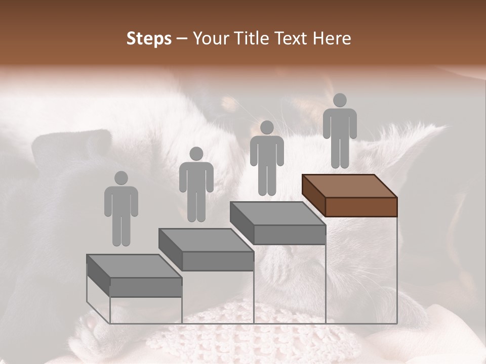 A Cat And A Dog Sleeping Together On A Blanket PowerPoint Template