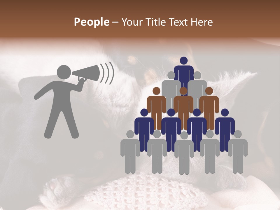 A Cat And A Dog Sleeping Together On A Blanket PowerPoint Template