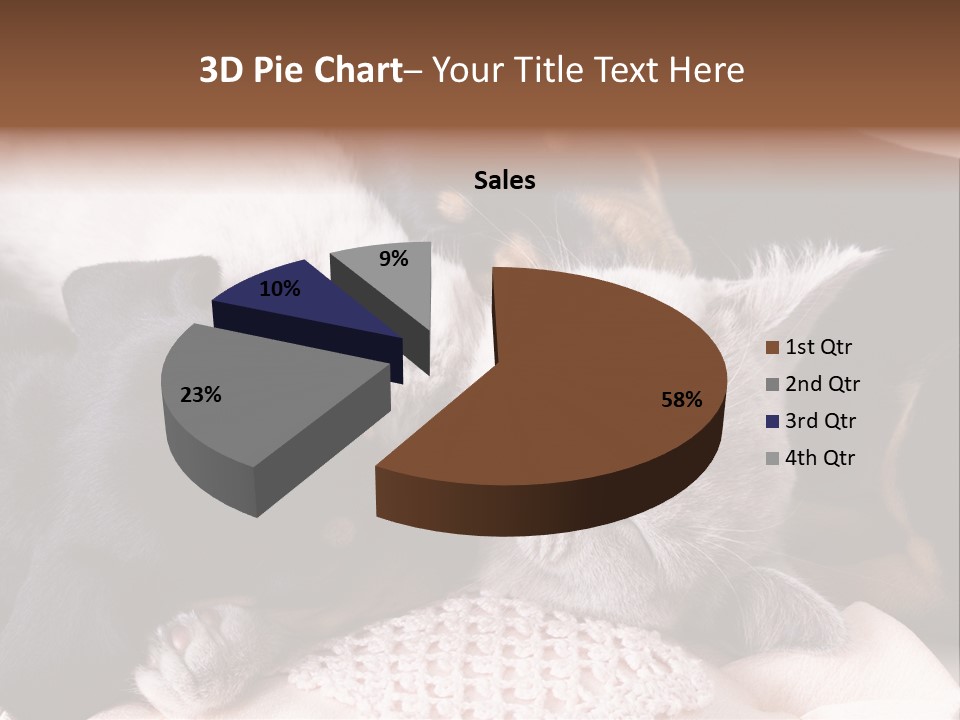 A Cat And A Dog Sleeping Together On A Blanket PowerPoint Template