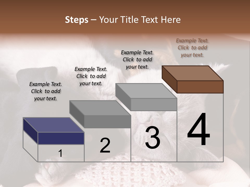 A Cat And A Dog Sleeping Together On A Blanket PowerPoint Template