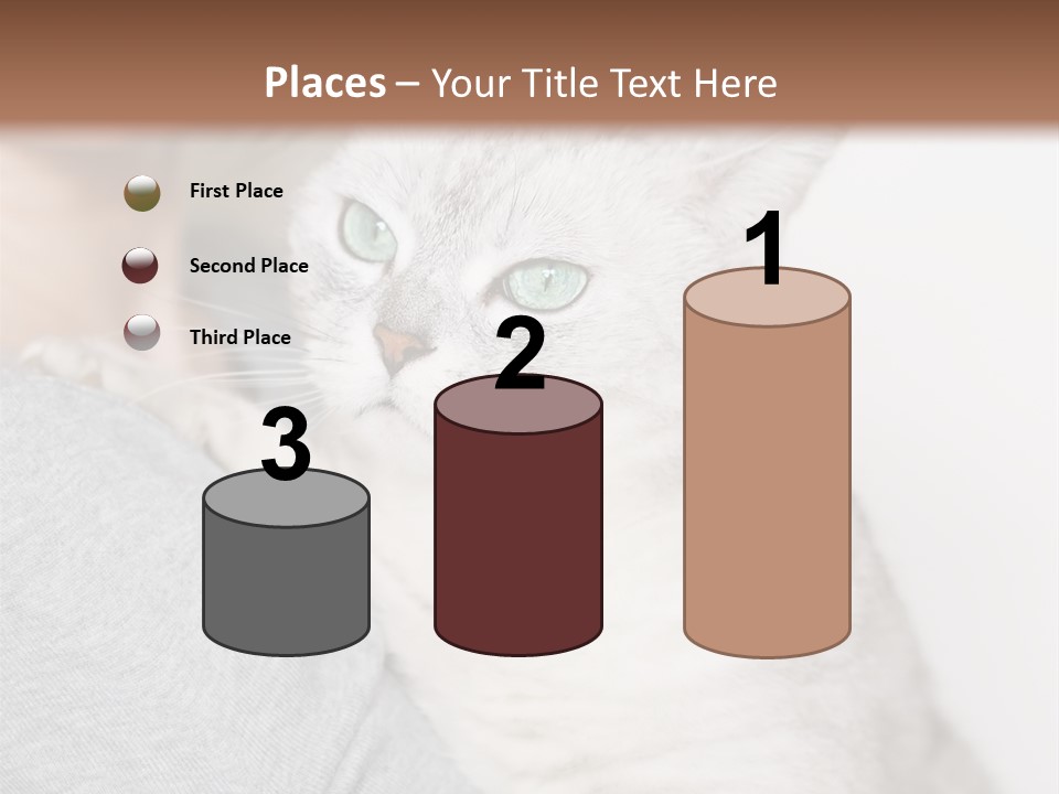 Love Friendship People PowerPoint Template