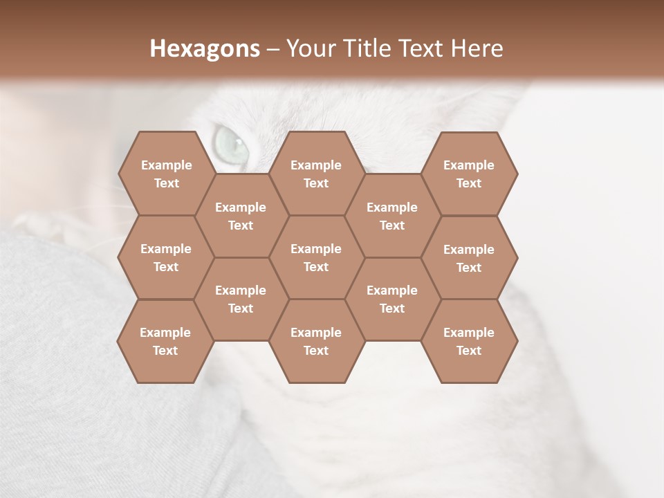 Love Friendship People PowerPoint Template