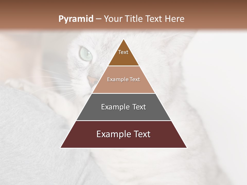 Love Friendship People PowerPoint Template