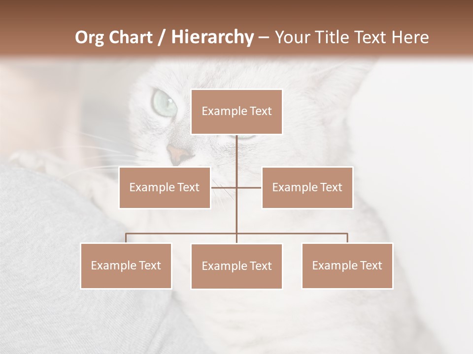 Love Friendship People PowerPoint Template