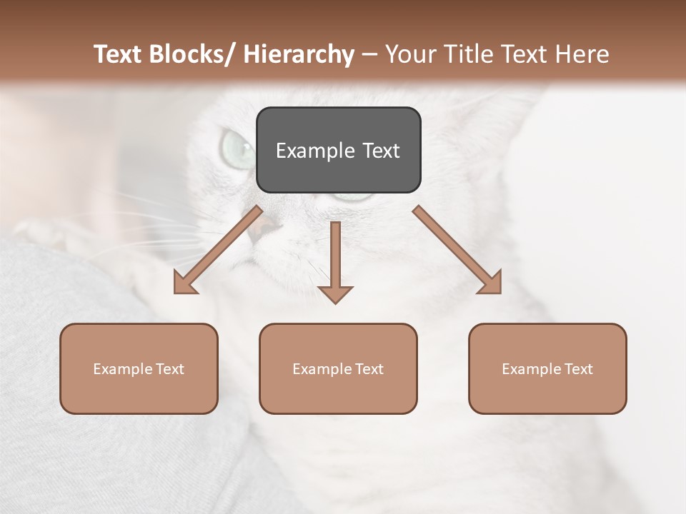 Love Friendship People PowerPoint Template