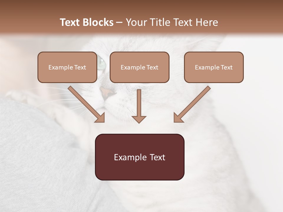 Love Friendship People PowerPoint Template