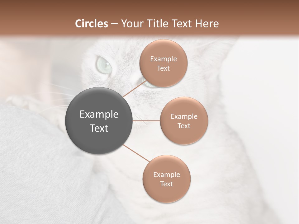 Love Friendship People PowerPoint Template