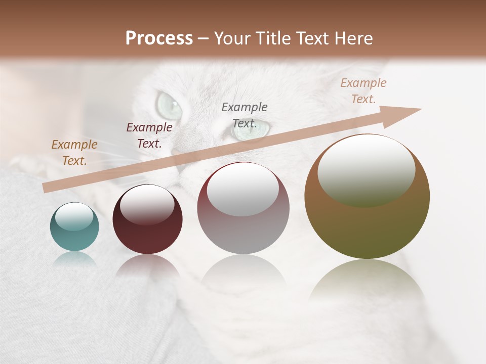 Love Friendship People PowerPoint Template