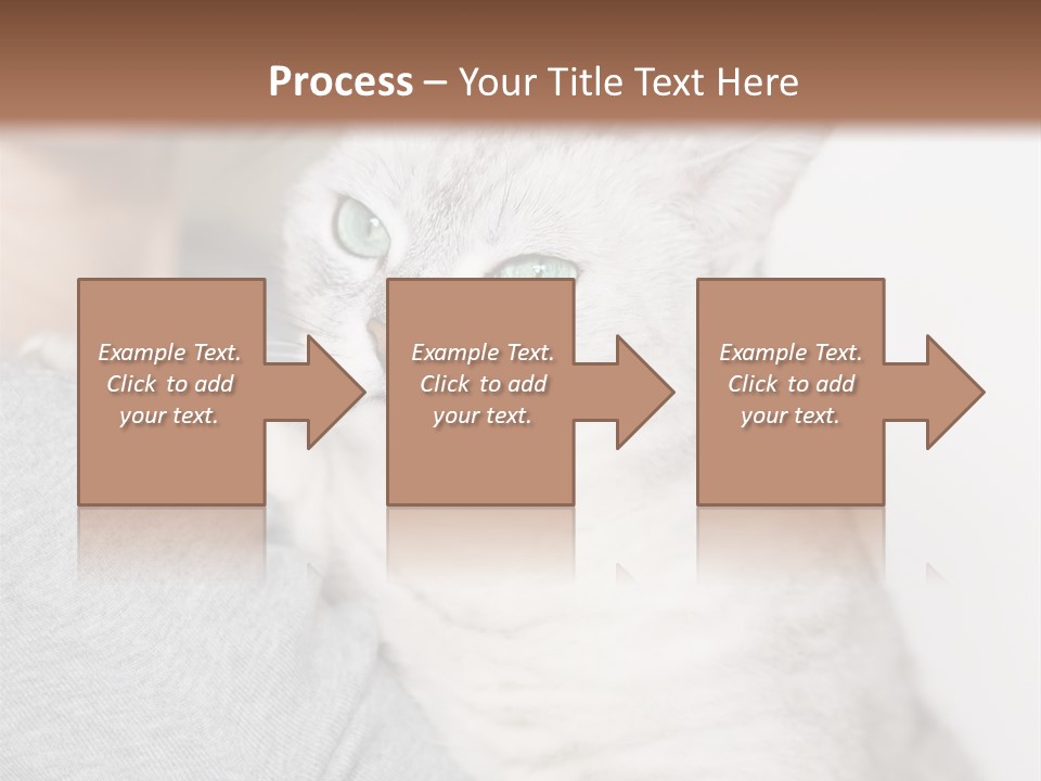 Love Friendship People PowerPoint Template