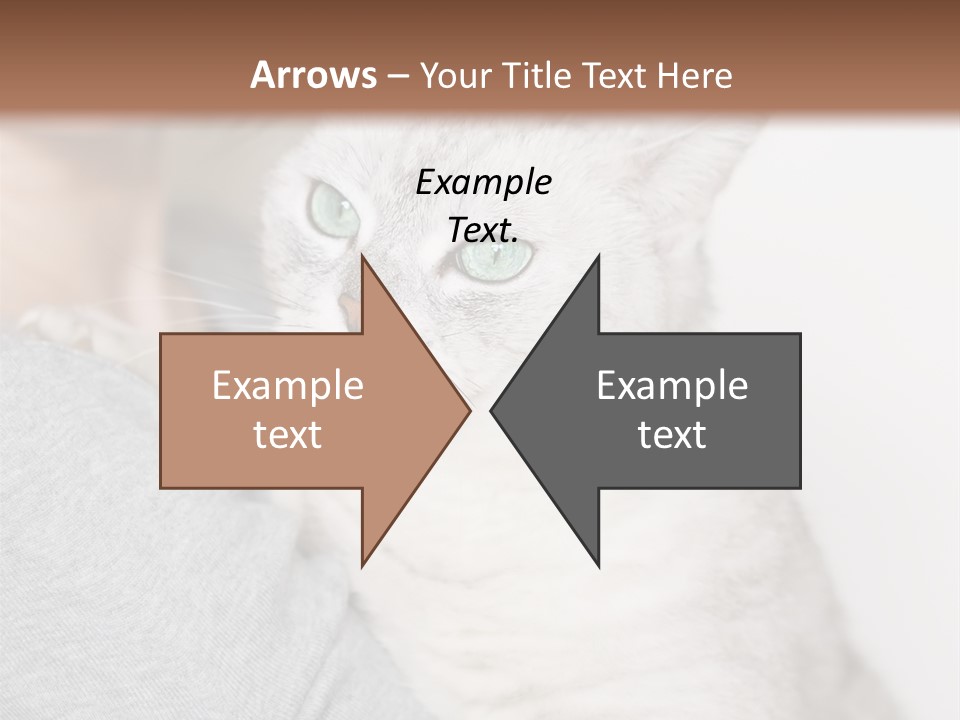 Love Friendship People PowerPoint Template