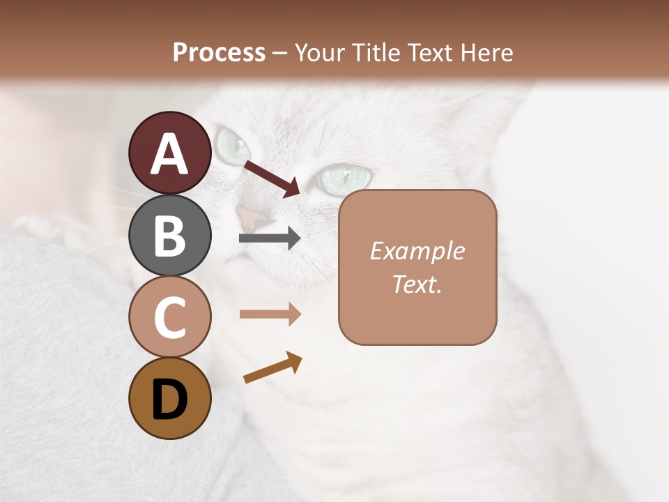 Love Friendship People PowerPoint Template