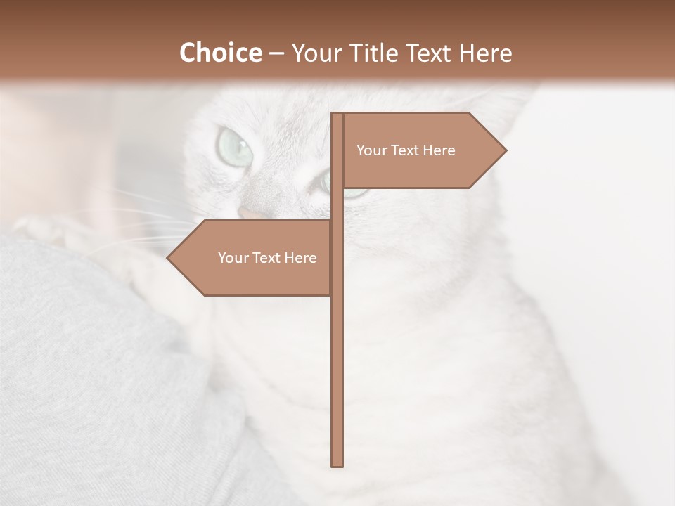 Love Friendship People PowerPoint Template