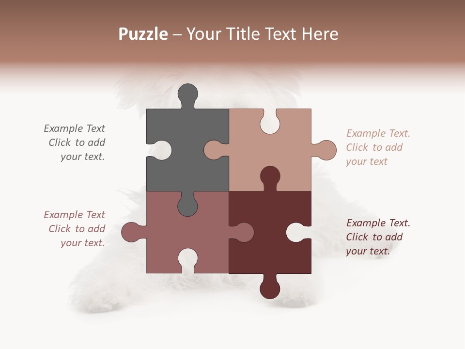 Studio Shot Dog Cross Breed PowerPoint Template