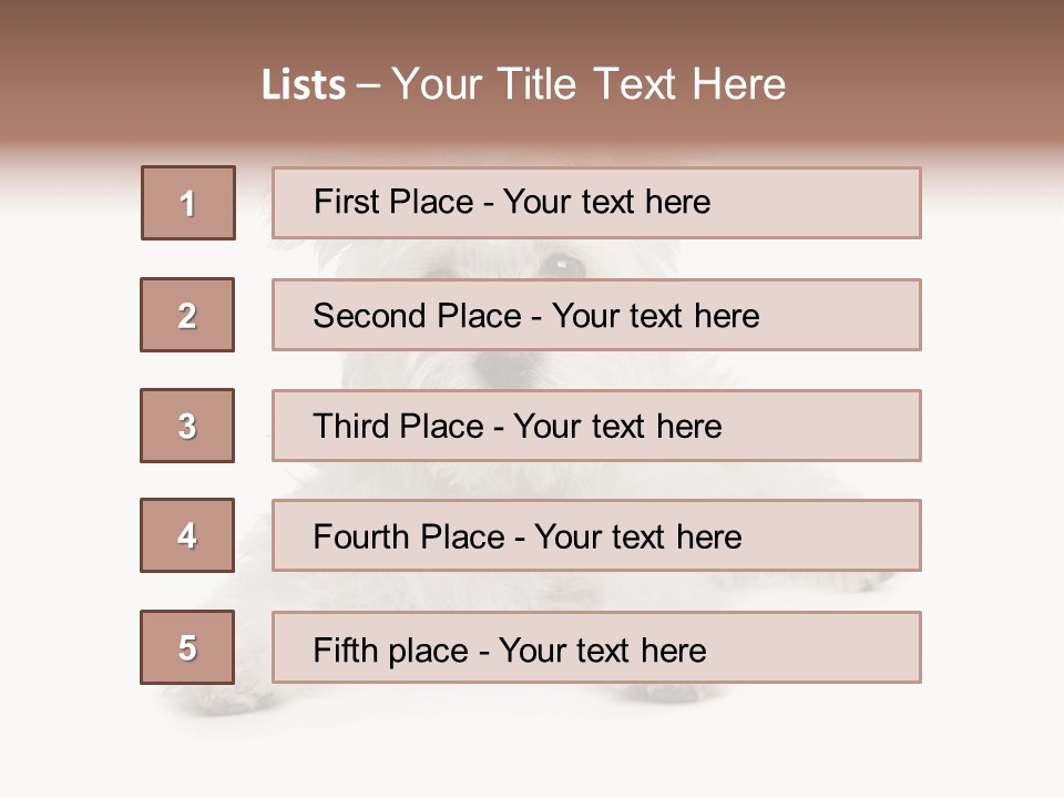 Studio Shot Dog Cross Breed PowerPoint Template