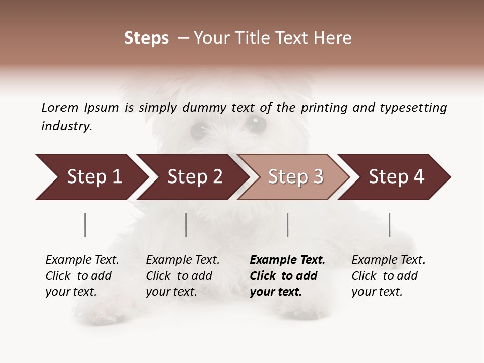 Studio Shot Dog Cross Breed PowerPoint Template