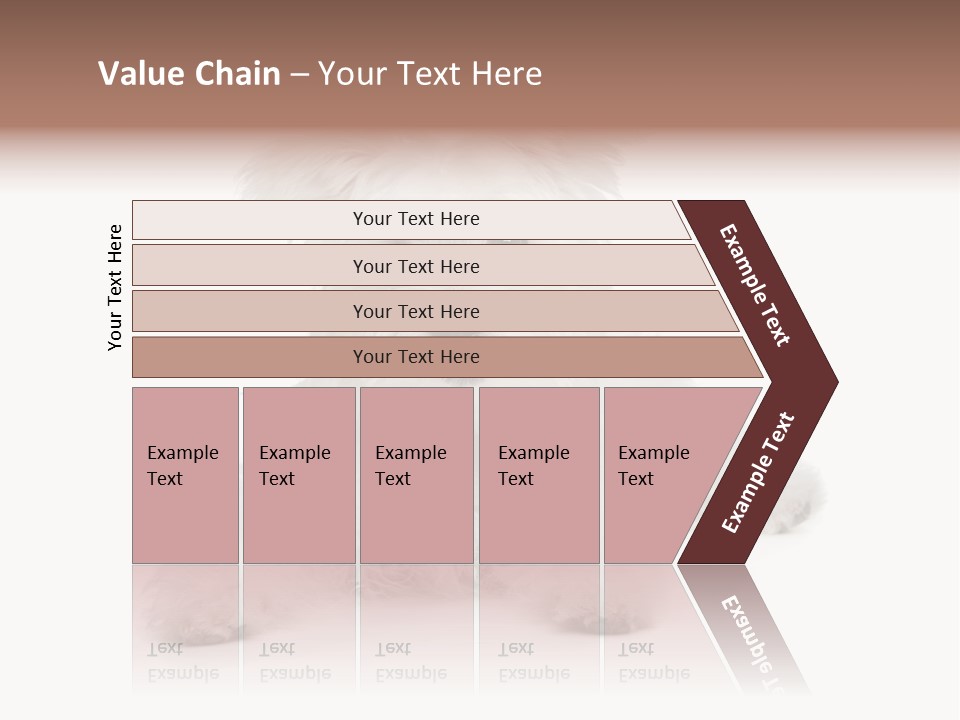 Studio Shot Dog Cross Breed PowerPoint Template