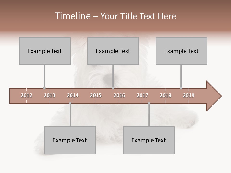 Studio Shot Dog Cross Breed PowerPoint Template